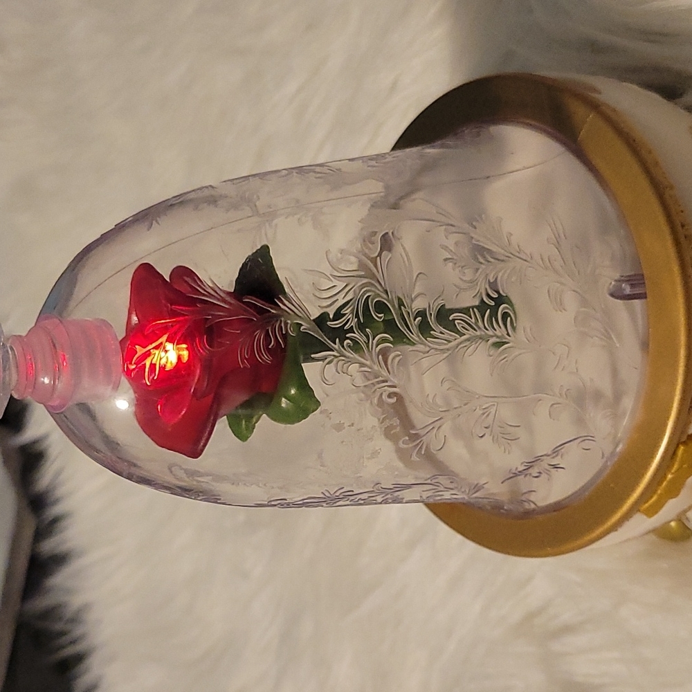 Beauty and the beast box